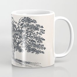 Wide Oak Tree Sketch Coffee Mug