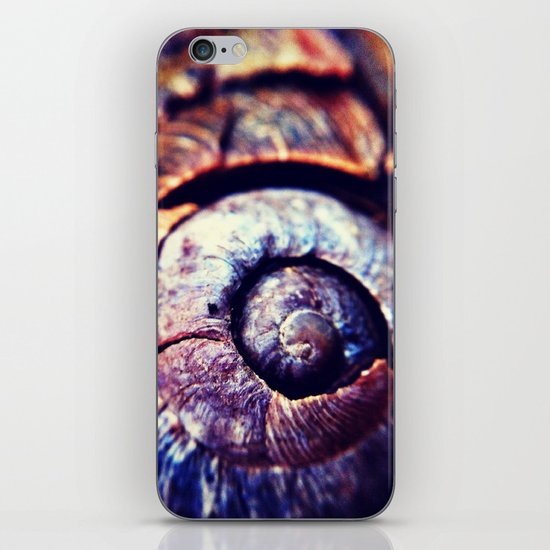 Shell iPhone & iPod Skin