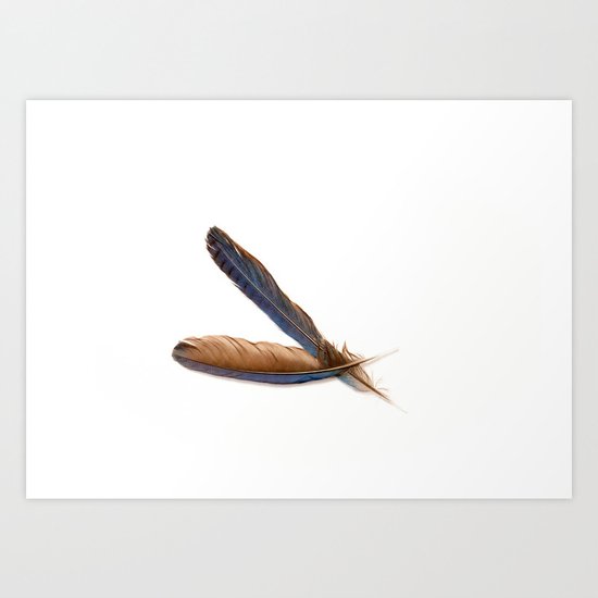 Jay Feathers Art Print