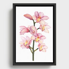 The Orchid, A Realistic Botanical Watercolor Painting Framed Canvas