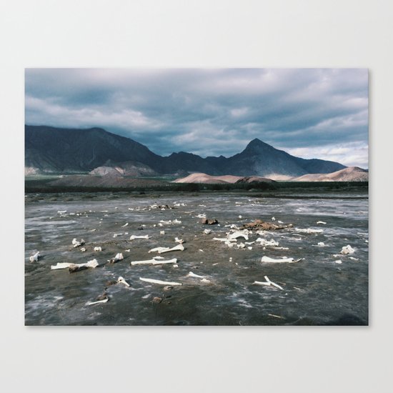Bone Flats Canvas Print