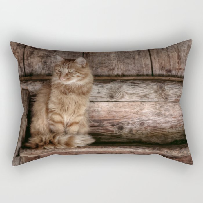 British long-haired cat on a wooden chair art Rectangular Pillow