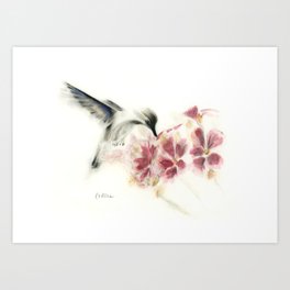Hummingbird with flowers Art Print
