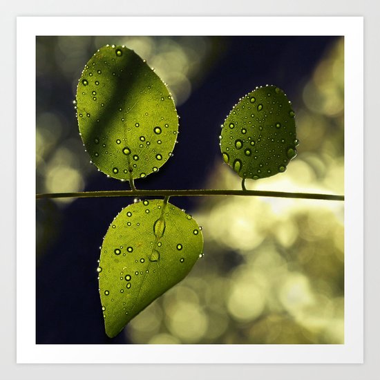 Threesome Art Print