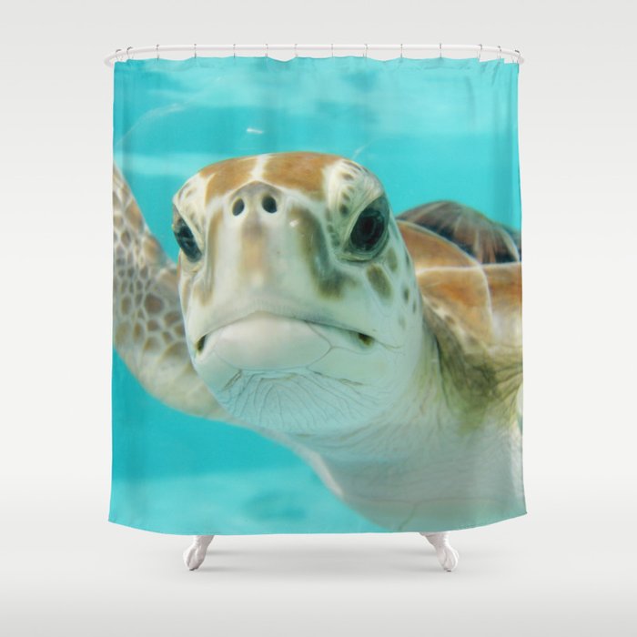 Mexico Photography - Sea Turtle In The Beautiful Water Shower Curtain