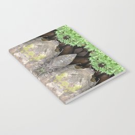 Rocky Path Notebook