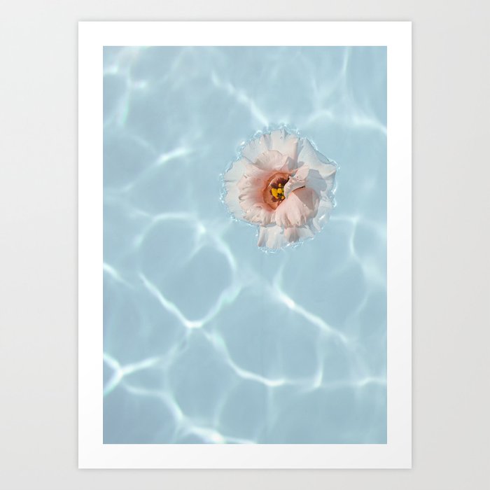 Floating Flower Photo In Soft Pastel Colors | Floral Water Photography In Blue And Pink Art Print