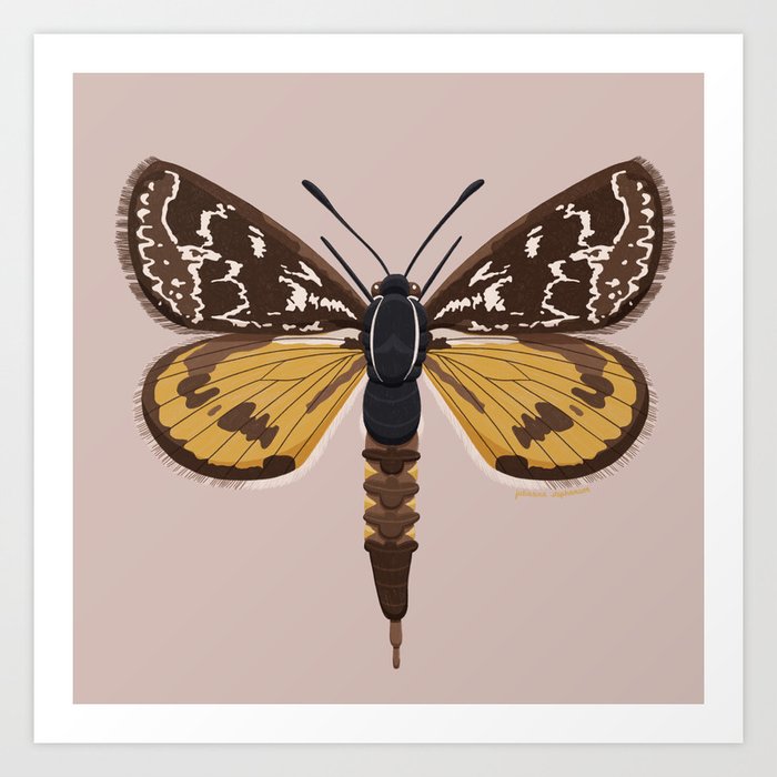 Golden Sun Moth Art Print