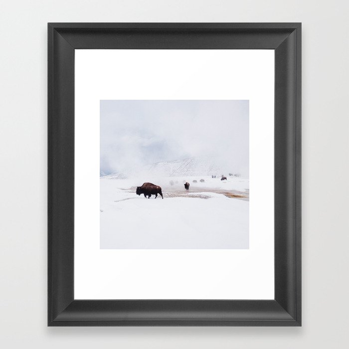 Wild Bison in Winter Framed Art Print