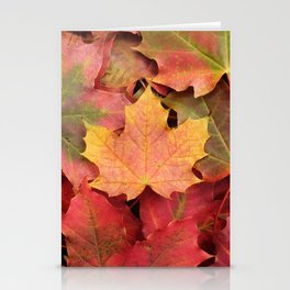 Yellow, green and red maple leaves Stationery Cards