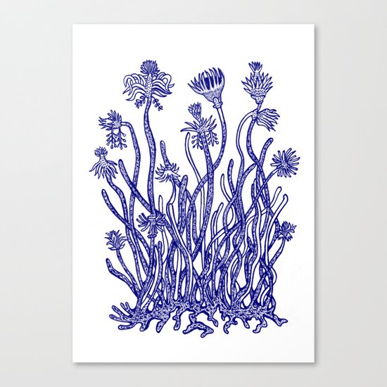 Beautiful nature Canvas Print