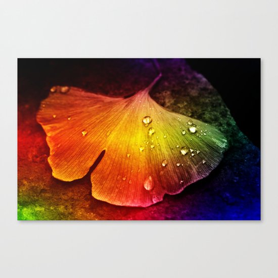 Gingko leaf muticolored Canvas Print