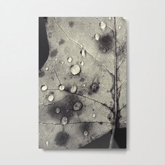 there, in the morning Metal Print