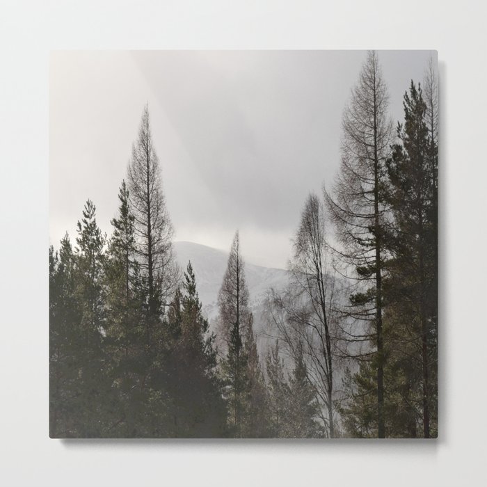 Winter Pine Trees Mountain View Metal Print