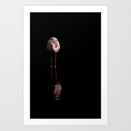 Solitary Flamingo in Nocturnal Reflection | black | fine art | pink | photo print Art Print