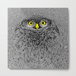 Fluffy baby owl staring eyes Metal Print | Illustration, Spirit, Beak, Bird, Babyowl, Forest, Cute, Mysterious, Nature, Sketch 
