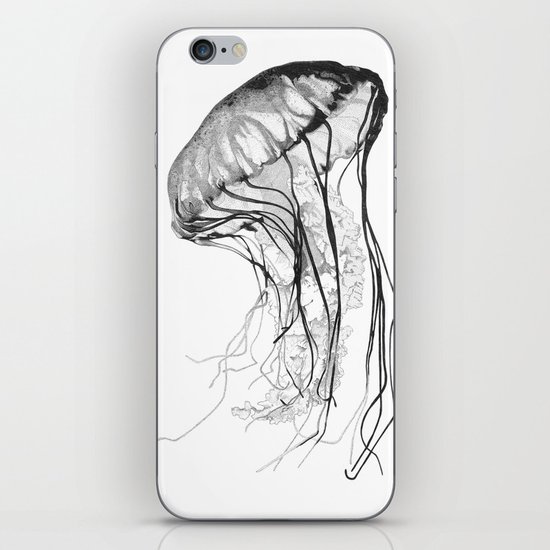 Medusozoa iPhone & iPod Skin