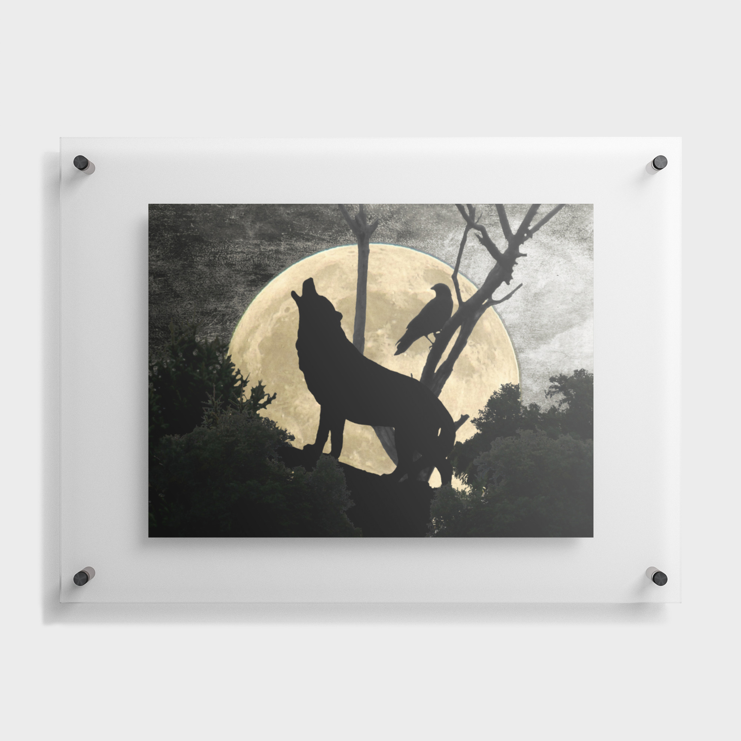 Howling Wolf Crow Moon Animal Black Bird Silhouette Art A388 Floating  Acrylic Print by Rusted Crow and Oak Studio | Society6