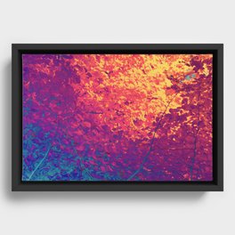 Arboreal Vessels - Aorta Framed Canvas