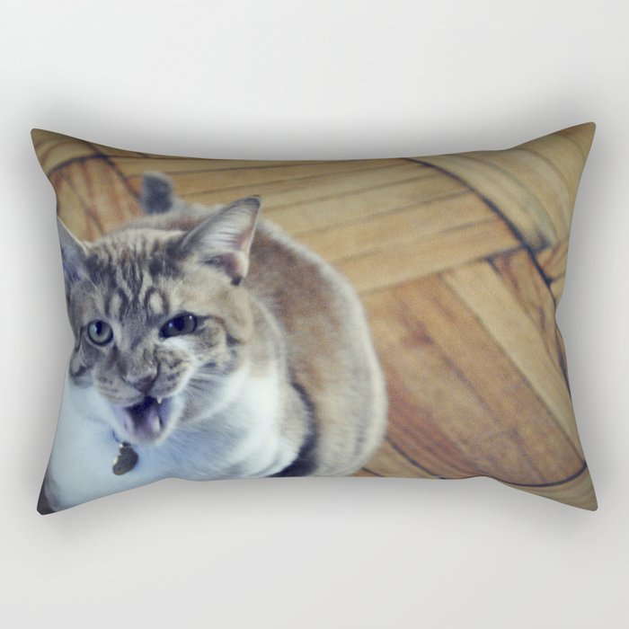 Funny hotsell cat pillows