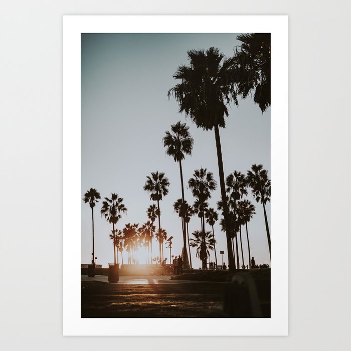 Palm Trees Vi Venice Beach California Art Print By Mauikauai
