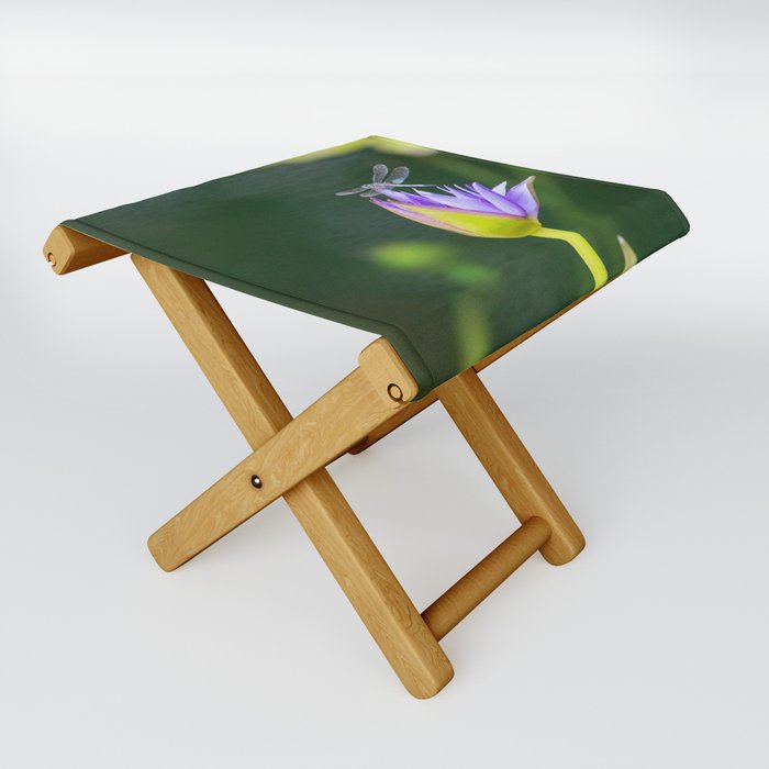 Dragonfly Folding Stool