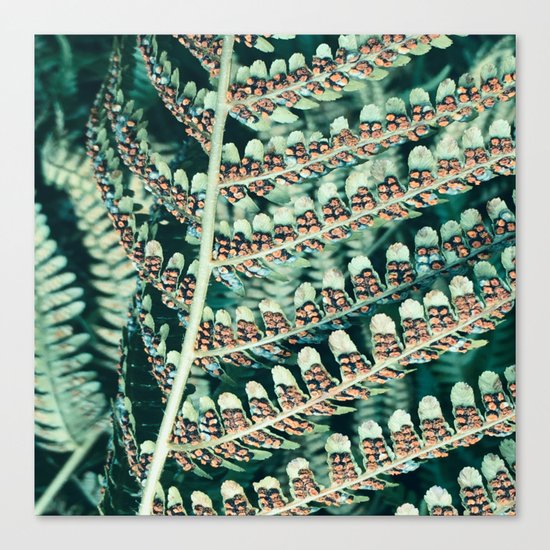Fern Life Canvas Print