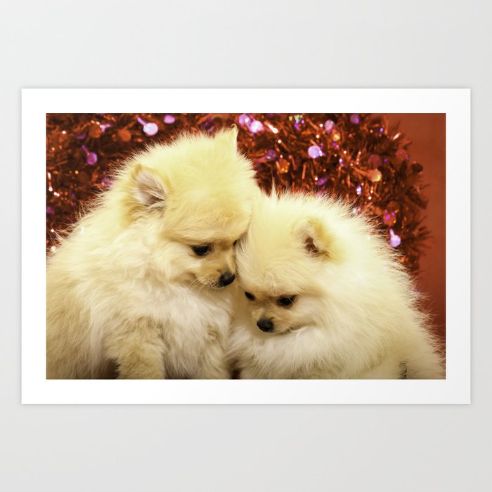Two Pomeranian Puppies Snuggling Each Other in Front of a Red Heart Valentine’s Day Background Art Print