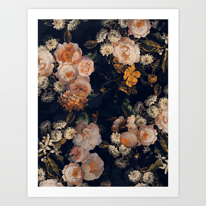 Antique Botanical Peach Roses And Chamomile Midnight Garden Art Print