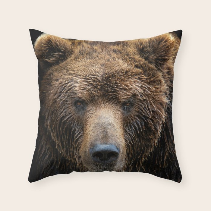 Brown Bear Face Close-up Animal / Wildlife / Nature Photograph - Minimal Throw Pillow And More