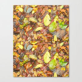 Forest Floor Canvas Print