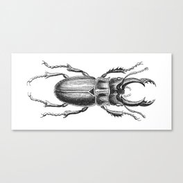 Vintage Beetle black and white Canvas Print
