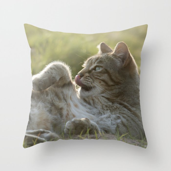 Tabby cat Throw Pillow