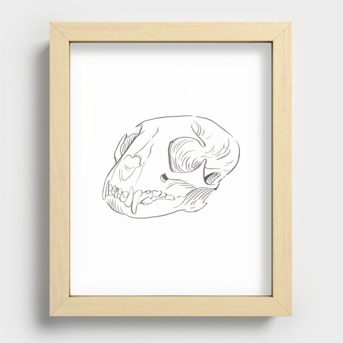 cat skull Recessed Framed Print