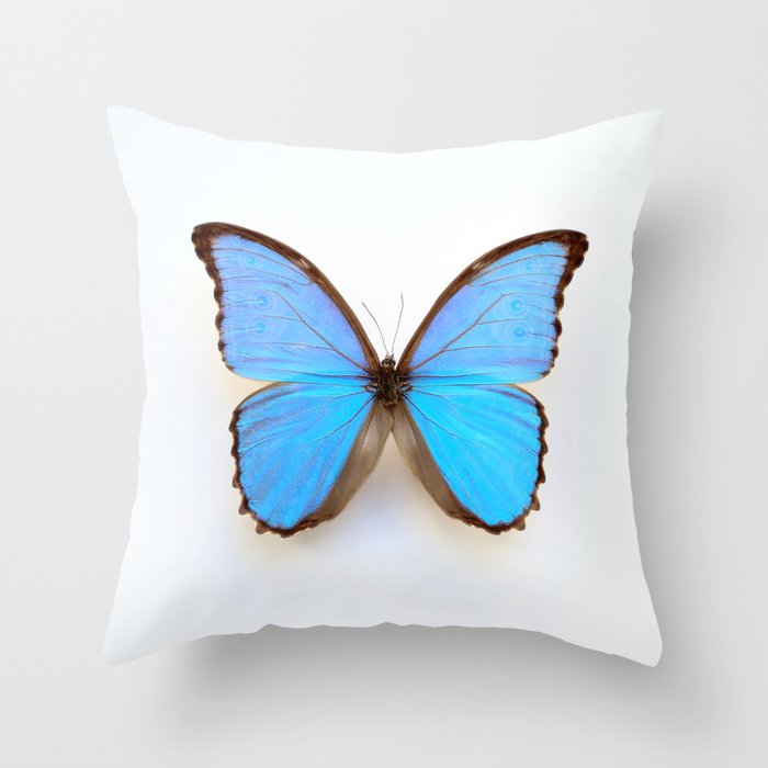 Blue Morpho Butterfly Throw Pillow