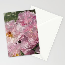 Beautiful flowers, peonies. Bouquet of pink peony background. Stationery Card