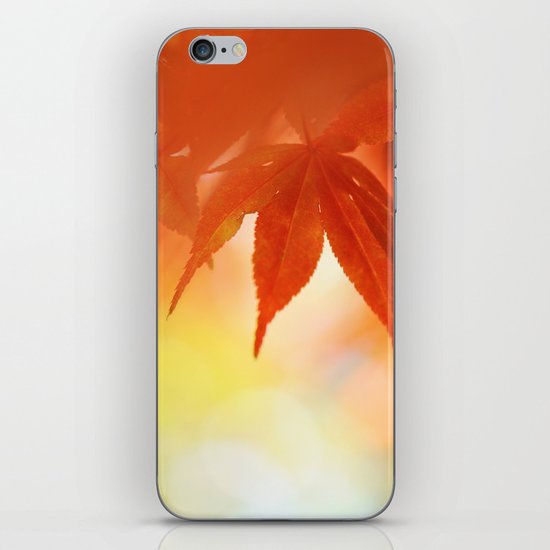 Autumnal tints iPhone Skin
