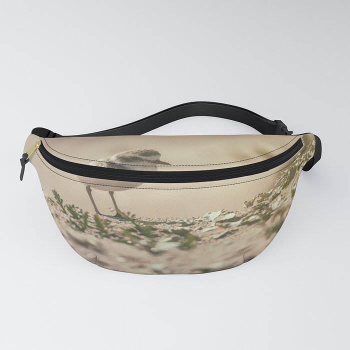 Snowy Plover Fanny Pack