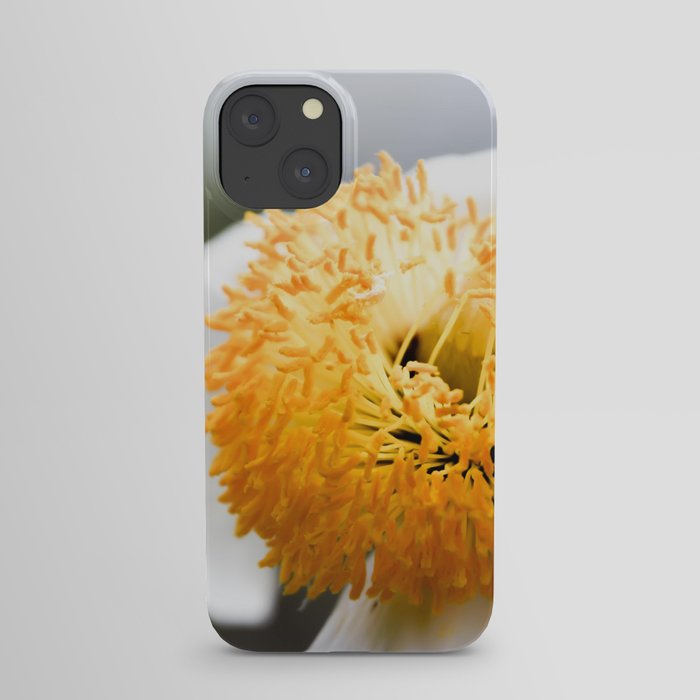 Macro White & Yellow Flower iPhone Case