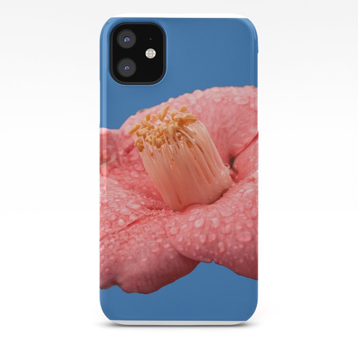 Pink Camellia Flower Droplet Flower In Blue Flower Wallpaper