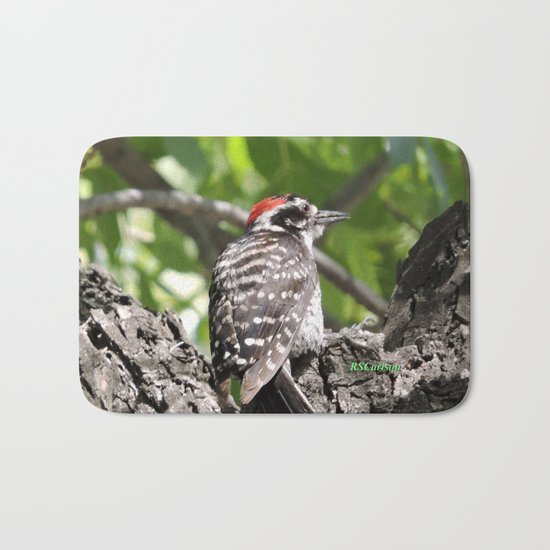 A Nuttal's Woodpecker Up a Tree Bath Mat
