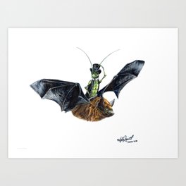 " Rider in the Night " happy cricket rides his pet bat Art Print