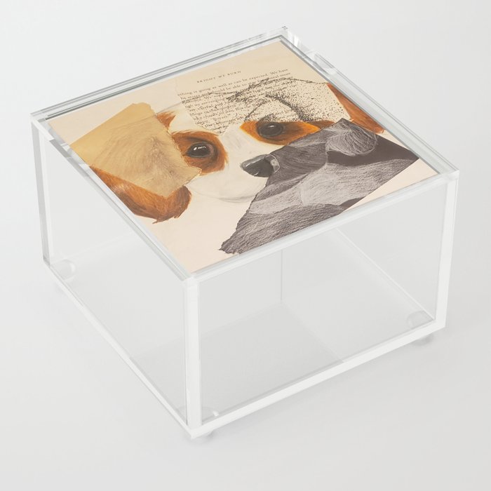 Intricate Puppy Acrylic Box