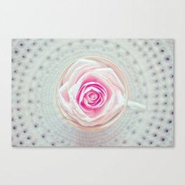 A Cup Of Rose Canvas Print