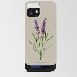 Lavender Antique Botanical Illustration iPhone Card Case