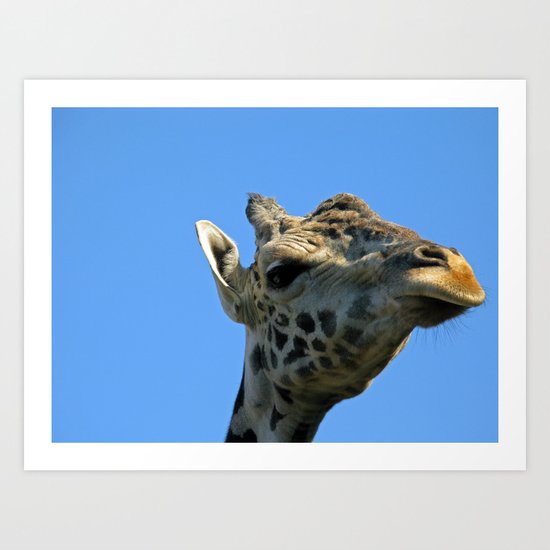 Giraffe 2 Art Print