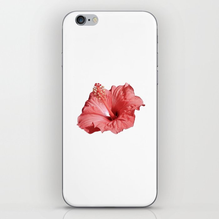 Pastel coral Hibiscus flower iPhone Skin