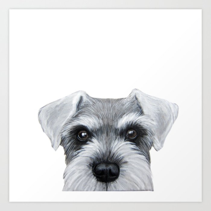 Schnauzer Grey&white, Dog illustration original painting print Art Print by MiartDesignCreation | Society6 Schnauzer Grey&White, Dog Illustration Original Painting Print Art Print By Miartdesigncreation | Society6