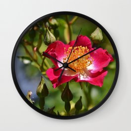 Anemone Florets Blossom Wall Clock