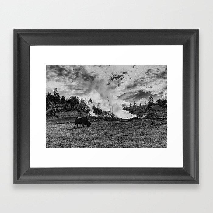 Yellowstone Buffalo Framed Art Print